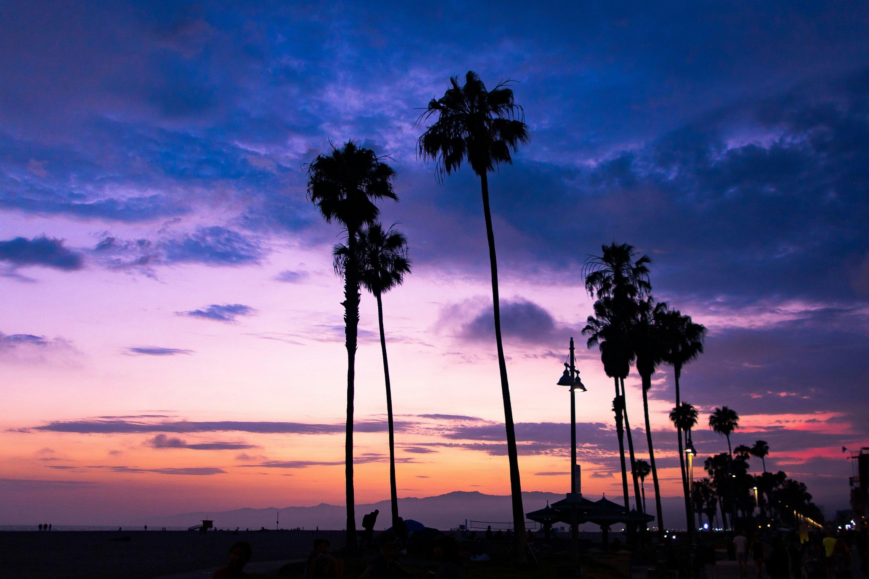 silhouette of coconut trees under cloudy sky during golden hour